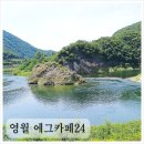 에그카페24 영월동강점