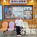 동전던지기 조형물 | 태백 가볼만한곳 당일치기 코스, 황지연못 산책 황지자유시장 태백타워브릿지까지