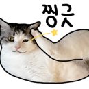 종구농장 이미지