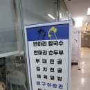 루스터헨