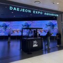 대전아쿠아리움 | 대전 엑스포 아쿠아리움 후기, 가격 체험 아이랑 가볼만한곳