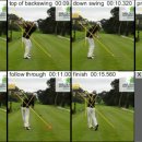 DTL 휘트니스 이미지