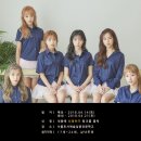 합동기획사 Daum카페