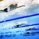 스윔월드 이미지