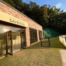 세이브독 이미지