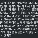 달리는이유