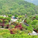 문화코스 /테마코스 /기획코스 이미지