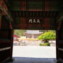 장안사 - 1722 | 부산 기장 장안사 산책 후기｜마음 쉬어가는 힐링 여행