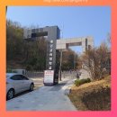 경인교육대학교 | 경인교육대학교 인천캠퍼스 벚꽃 개나리꽃 보러 다녀온 후기