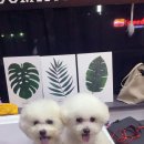 그루밍아이엠 이미지