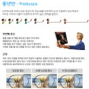 공콘택트렌즈 이미지