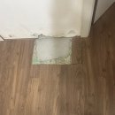 주은청설아파트앞 이미지