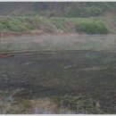 대물낚시 이미지