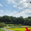 산정리 그옛집 | 산정리 그옛집,7월 촌캉스여행 후기 공유