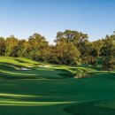 필드 골프클럽 이미지