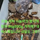 무진장주유소 Daum카페