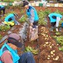 반남경로당 이미지