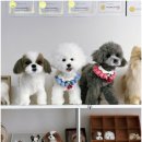 멍케이크 이미지