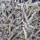 무궁화한의원 이미지