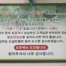 건강한뽕잎왕만두