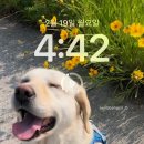 (주)로지스톤 이미지