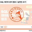 리안엔지니어링 | 데이터리안 SQL 데이터 분석 캠프 실전반 41기 수강 후기 / 25.06.01