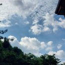 숲속의행복마을 | 포천 산정호수 계곡펜션 숲속의행복마을 펜션 내돈내산