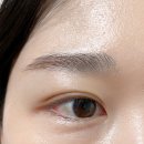 지속력 좋은 속눈썹펌 강남 아인뷰티랩 후기