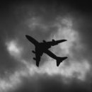 SNOW WING | 안보이는 곳에서의 비행