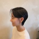 빌레트헤어