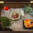 노이(NOI) | [송도] 노이 / Noi / 디너 방문 후기