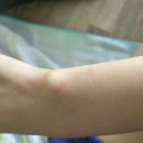 가송펜션 | 2박3일 울릉도 독도 여행 후기｜필수코스 &amp; 여행 꿀팁