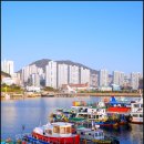동삼어촌계 유어장 낚시터 | 부산 가볼만한 곳 부산항 동삼동어항 방파제 등대 영도 하리항 선착장 동삼동 패총전시관