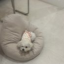 네일루미 | 일산 백석 네일샵 루미네일 첫 방문 후기 (야간 네일 추천)