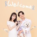 아이헤이트먼데이스튜디오 | 강아지와 함께 남긴 소중한 기록, 먼데이선데이스튜디오 송파사진관 만삭사진 촬영 후기