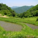 [한국] 토쫑 깨꾸랴지를 만나요 이미지