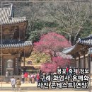 스마트폰 사진작가 꿈꾸기 | 구례 화엄사 홍매화축제 일정 연장! 개화현황 사진 콘테스트 참여방법