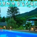 더큰나무펜션 이미지