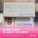 정자우리들약국 이미지