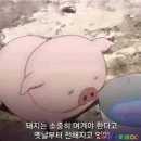 소담기념품 네이버블로그
