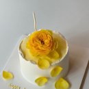아이엠케익