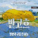 밀밭으로 - 장흥군 | 밀밭으로