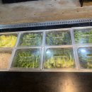 슬로우디디피 | 디디피(DDP) 맛집 추천! 찜과 샤브샤브를 한 번에? 단체 회식 가능한 '찜샤브' 방문 후기 ✨