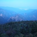 중앙시장2 이미지