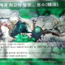 대원사 Daum카페