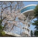 광주사직공원 이미지