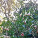 고도농장 이미지