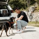 유쾌한펫