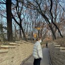 일자산 자연공원 | 서울 둘레길 2,3코스 후기 I 오후 출발 했다가 일자산 야간 산행까지,, 솔직 경험담