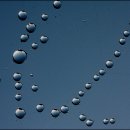 성악과 합창 이미지